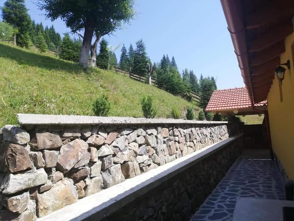 Casa Anghel Villa Bilbor Exterior foto