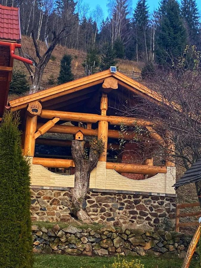 Casa Anghel Villa Bilbor Exterior foto